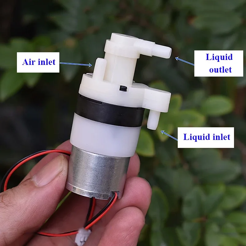 DC 3V 3.7V Micro 310 Motore Po - Vacuum Chamber Kit With Pump recensione e prezzo