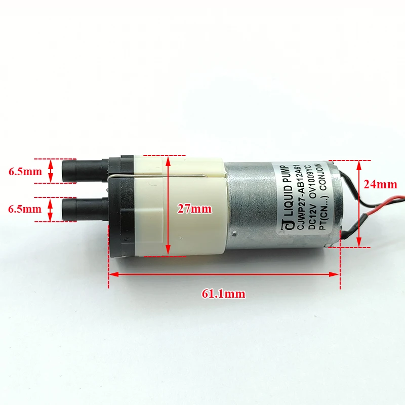 Pompa a Diaframma Mini CJWP27- - Mini Peristaltic Pump 12V recensione e prezzo